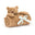 Bartholomew Bear