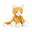 Ginger Cat