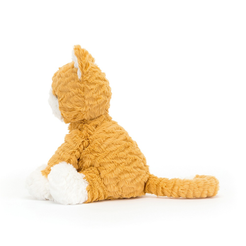 Ginger the Courageous Kitten Book + Plush Bundle