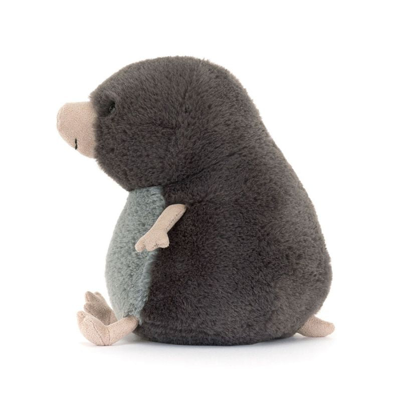Muswell Mole and the Buried Treasure Book and Plush Bundle