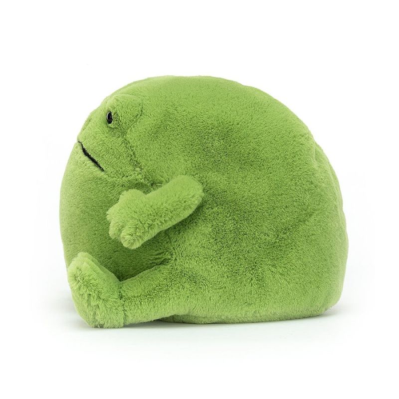 Grenouille de pluie Ricky
