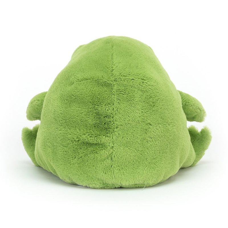 Grenouille de pluie Ricky