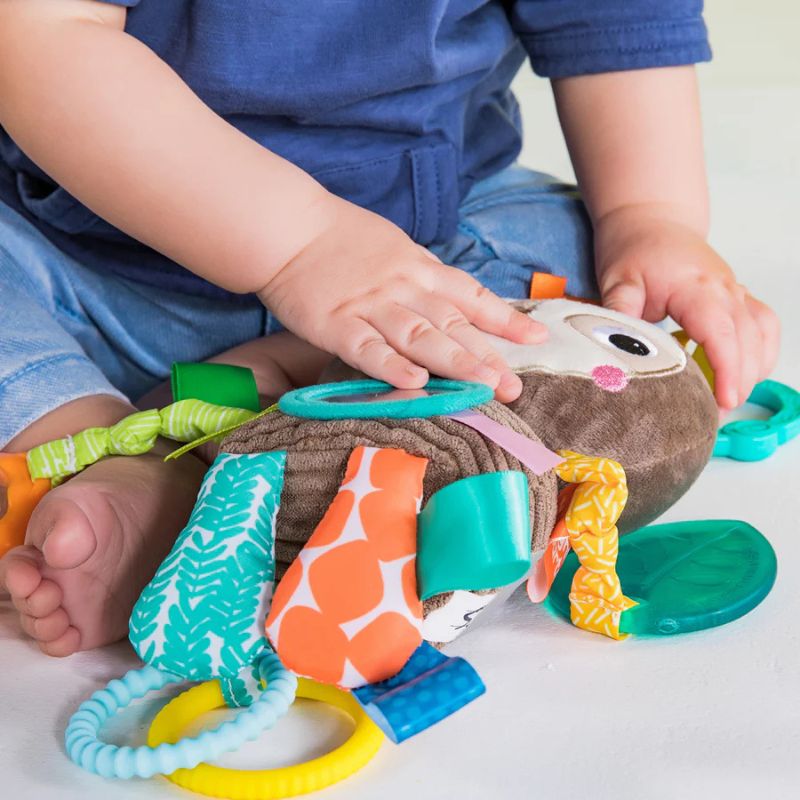 Playful Pals Take-Along Activity Toy