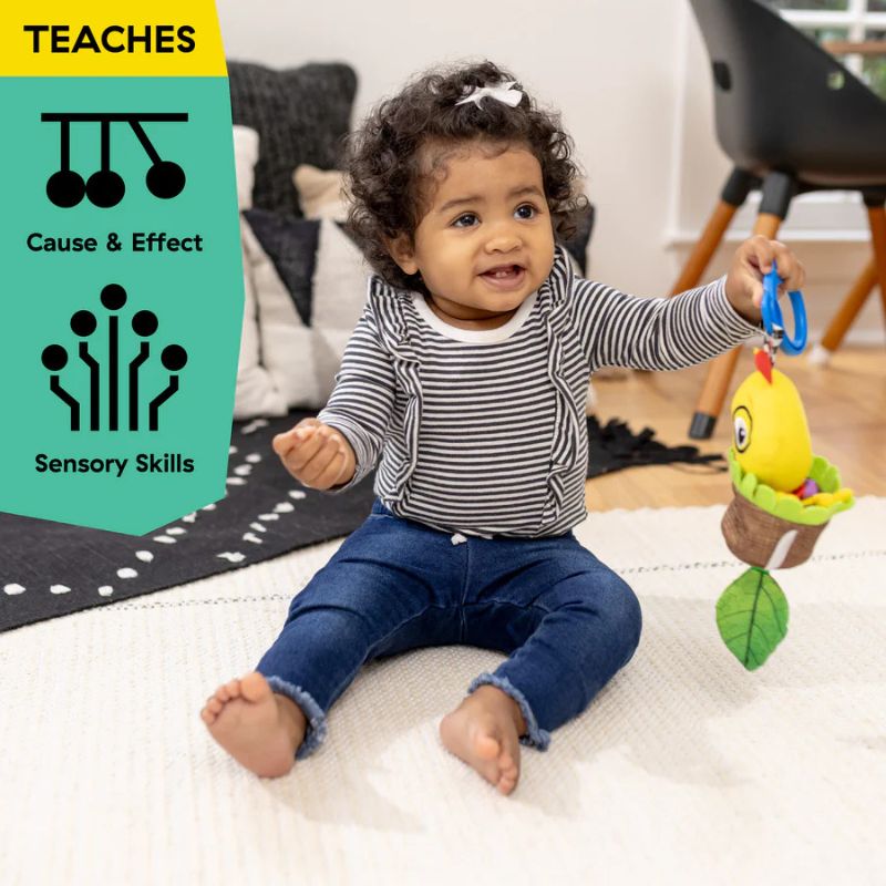 Cal-a-Puller Pull & Shake Toy