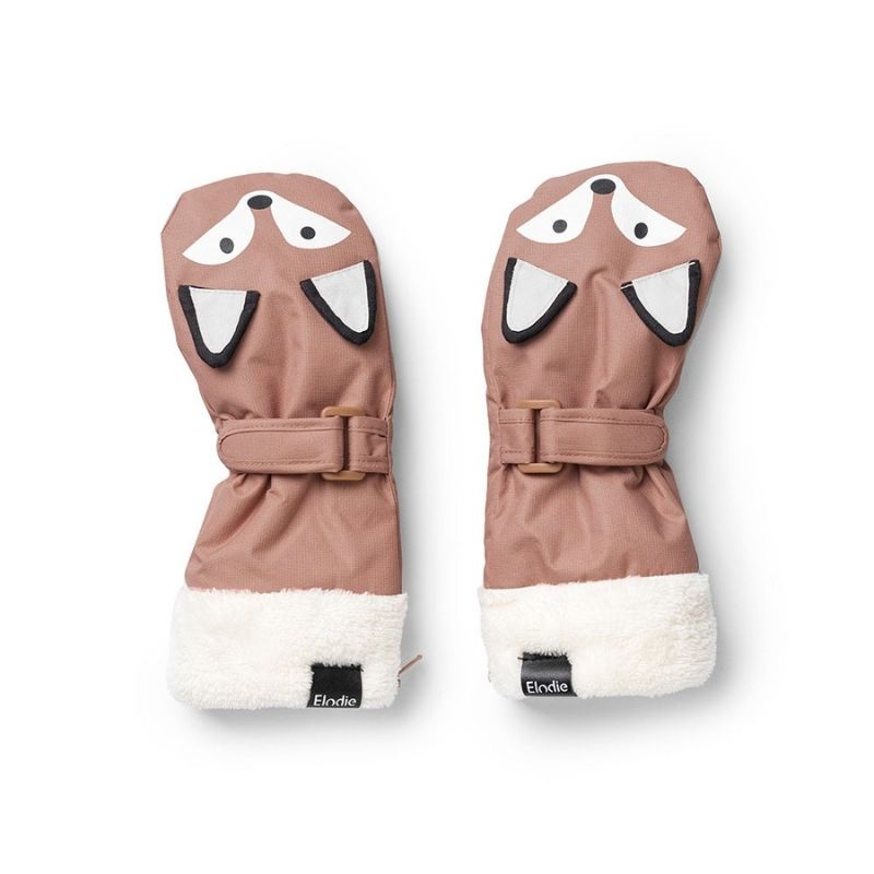Winter Mittens