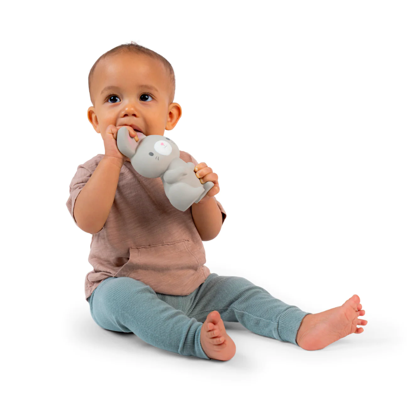 Natural Rubber Teether Toy