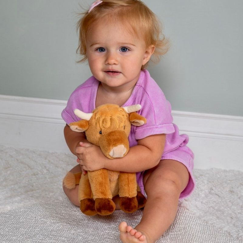 Soft Toy