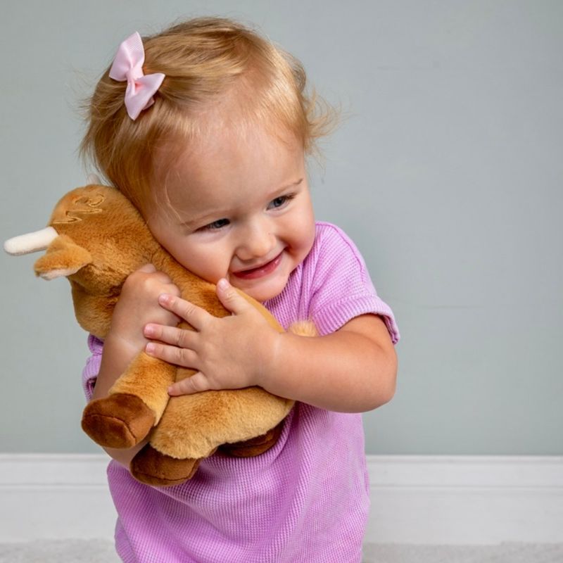 Soft Toy