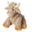 Highland Cow
