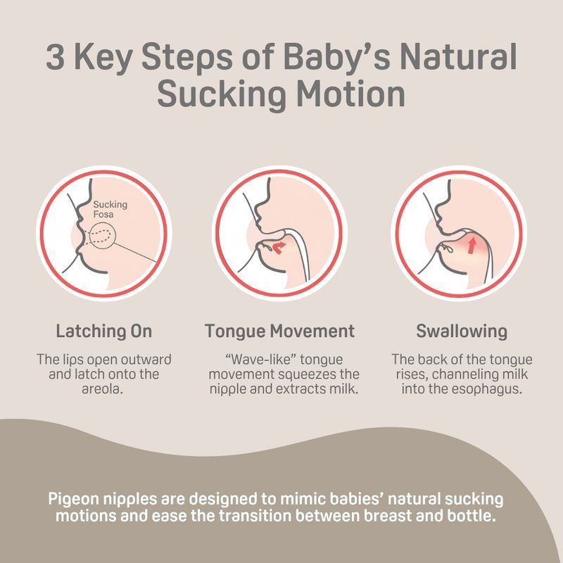 Baby Bottle Nipple - 3 Pack