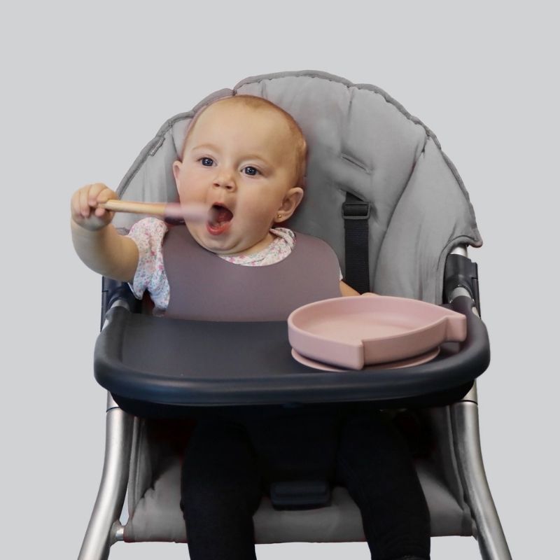 Silikitty Plate