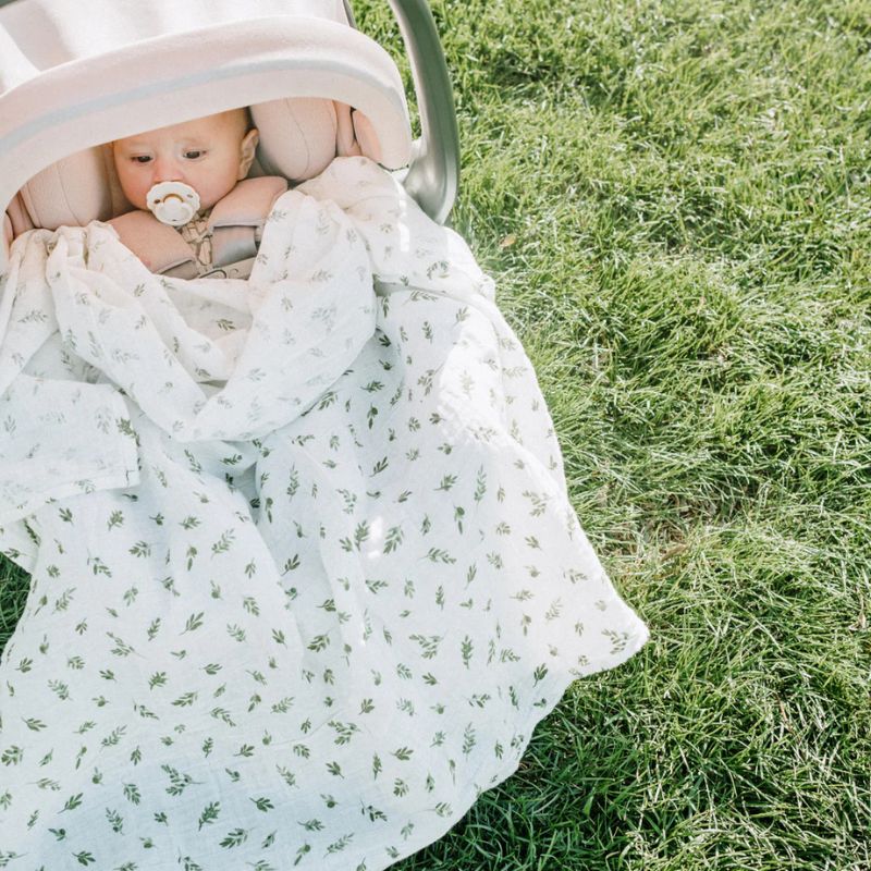 Organic Cotton Muslin Swaddle Blanket - 2 Pack
