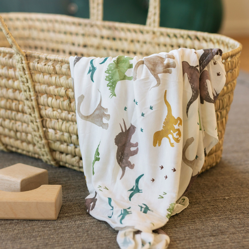 Stretch Knit Swaddle Blanket - 2 Pack
