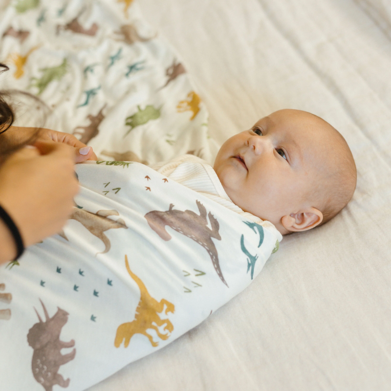Stretch Knit Swaddle Blanket - 2 Pack