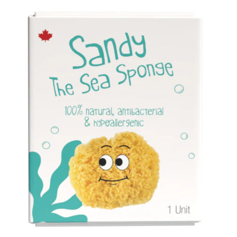 Sandy The Sea Sponge
