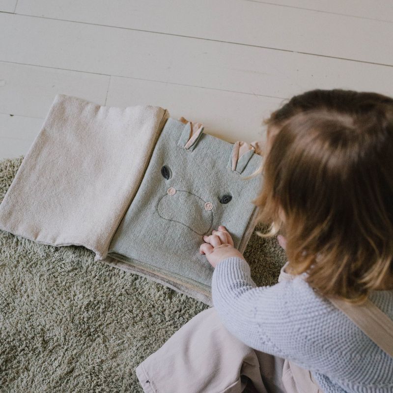 Sensory Books