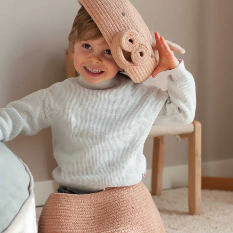 Decorative Animal Baskets Peggy The Pig
