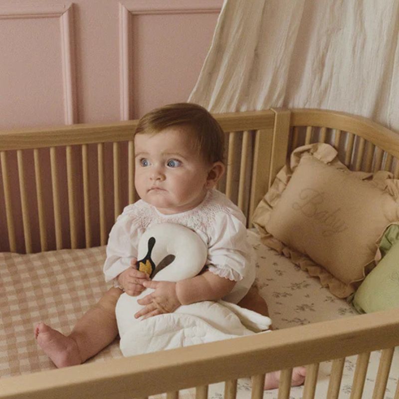 Baby Cushion