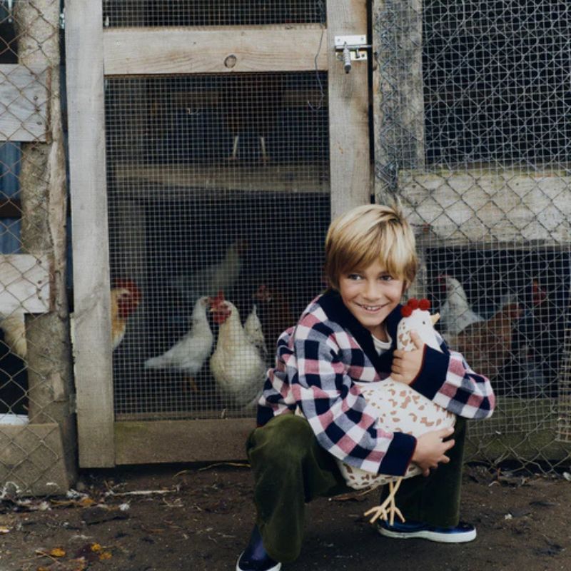 Chicken Cushion