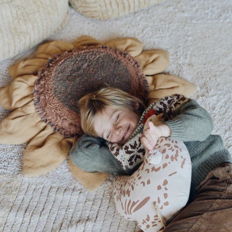 Chicken Cushion