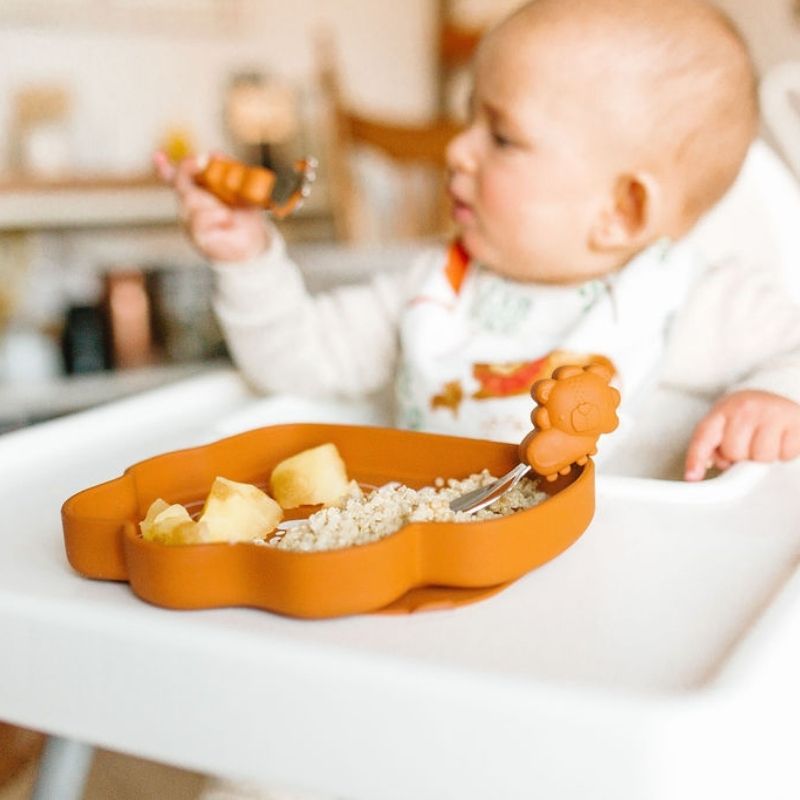 Silicone Snack Plates