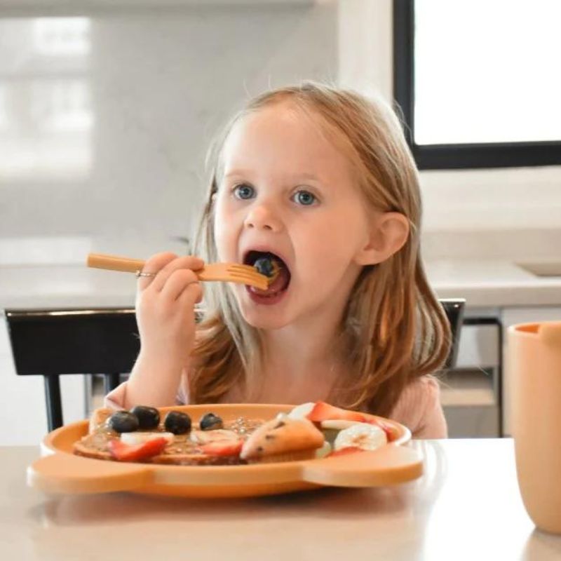Cellulose Feeding Set - 5 Piece