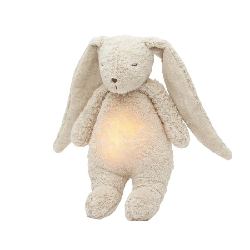 2.0 The Organic Humming Lamp