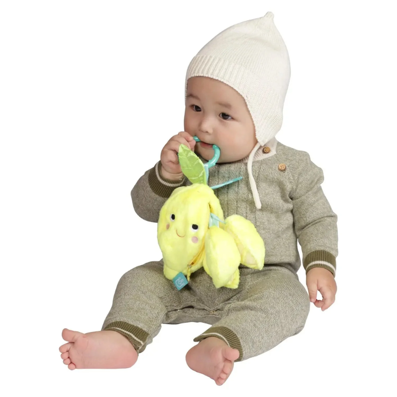 Mini Apple Farm Travel Toy with Rattle