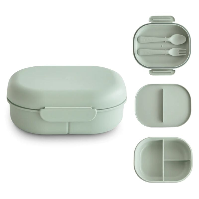 Bento Lunchbox Sage