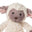 Lamb