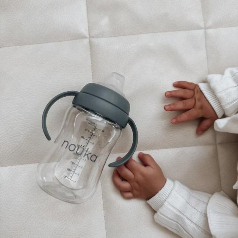 Transitional Sippy/Weighted Straw Cup - 8oz