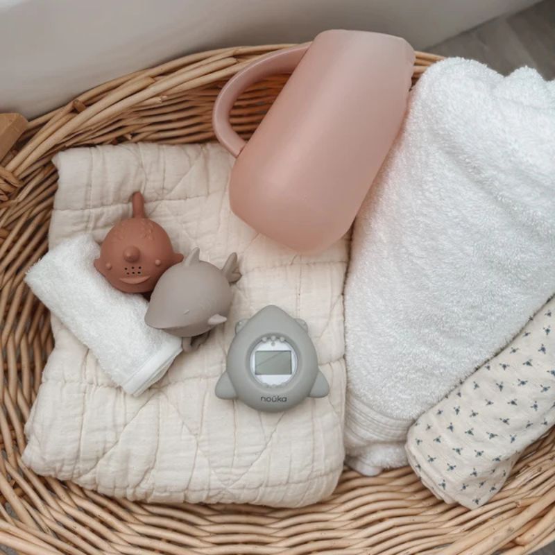 Bathtub Safety Thermometer