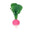 Ramona The Radish