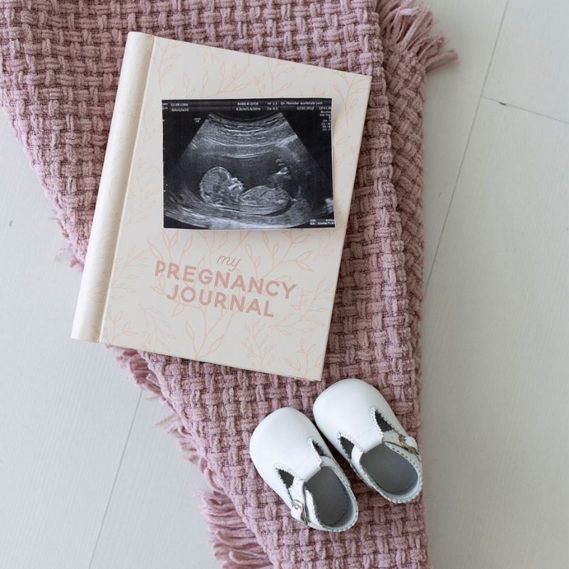 Pregnancy Journal Blush