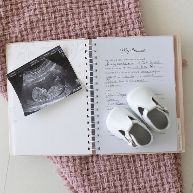 Pregnancy Journal Blush