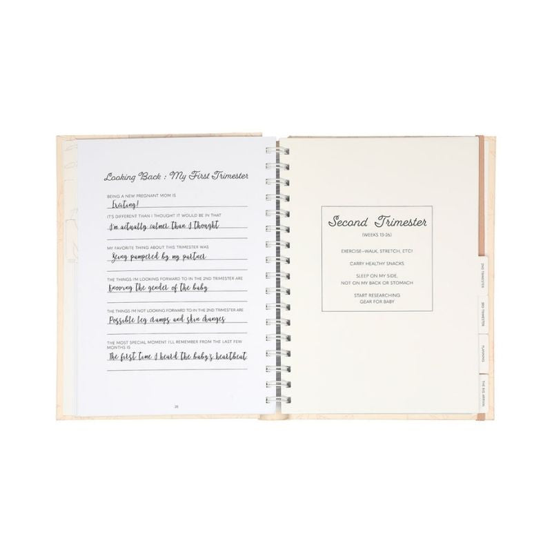 Pregnancy Journal Blush