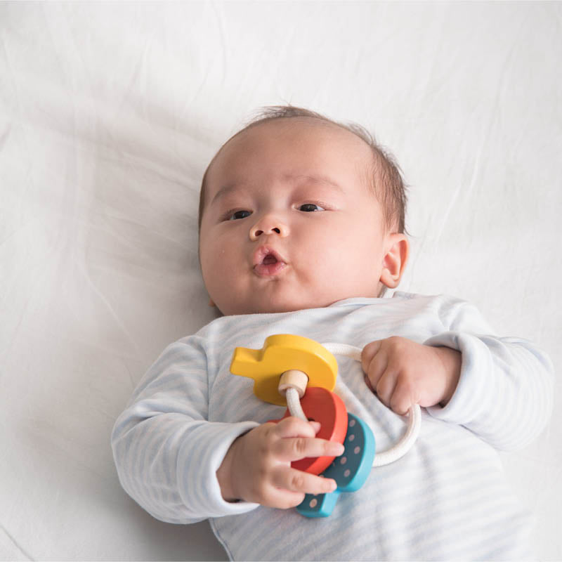 Baby Key Rattle