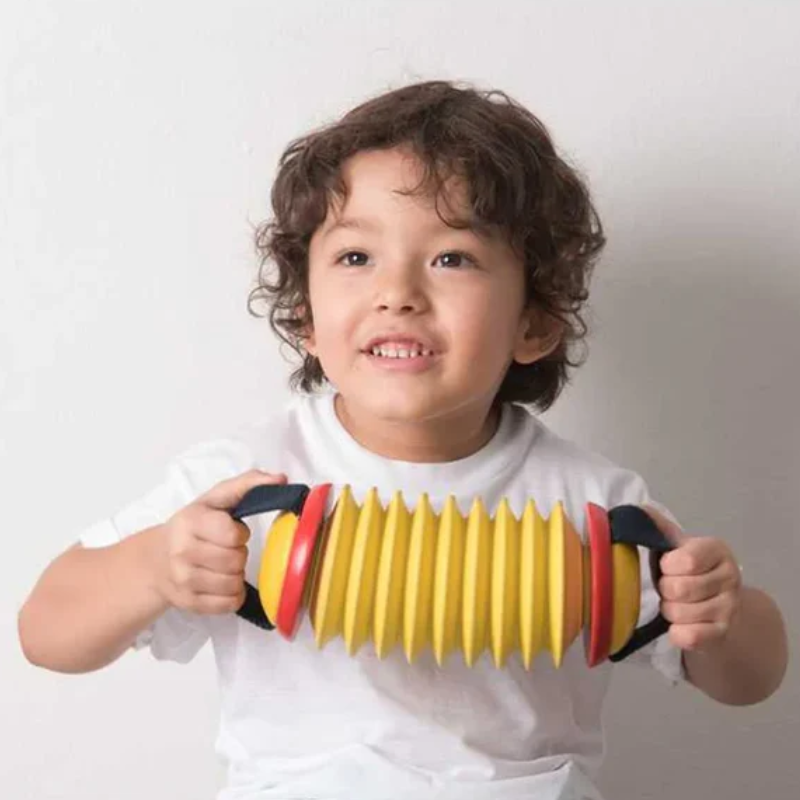 Concertina