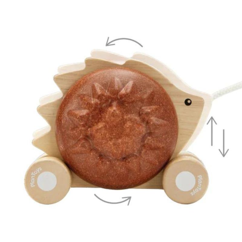 Pull-Along Hedgehog