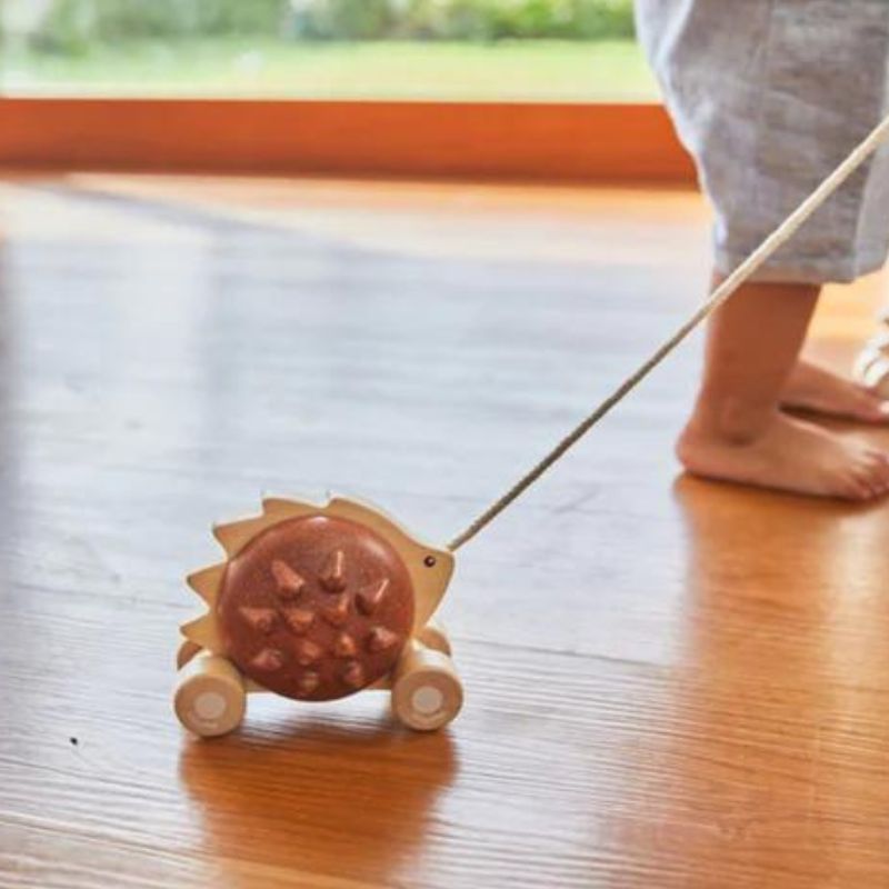 Pull-Along Hedgehog