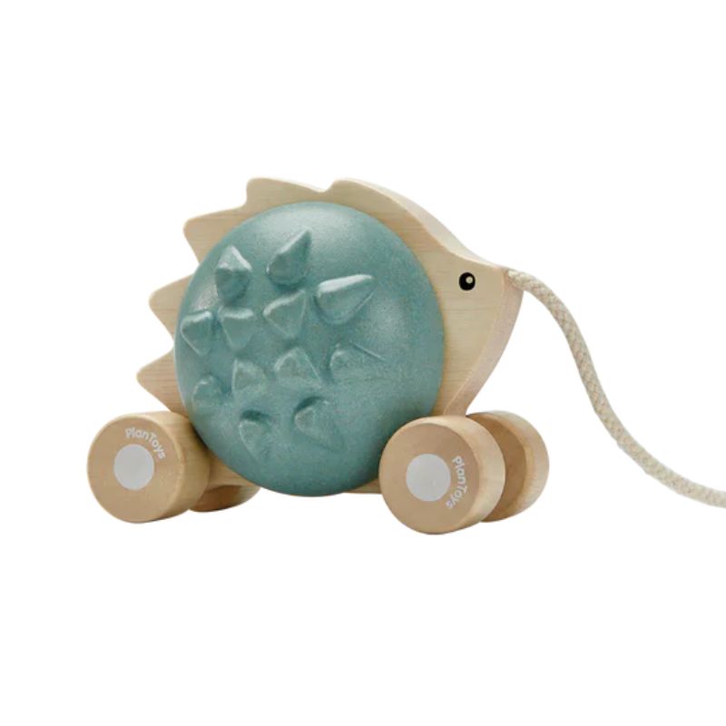 Pull-Along Hedgehog