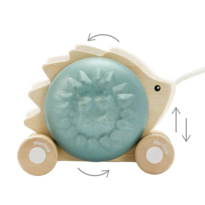 Pull-Along Hedgehog Blue