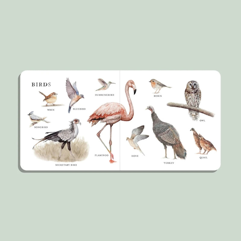Our Big Book of Animals Board Book