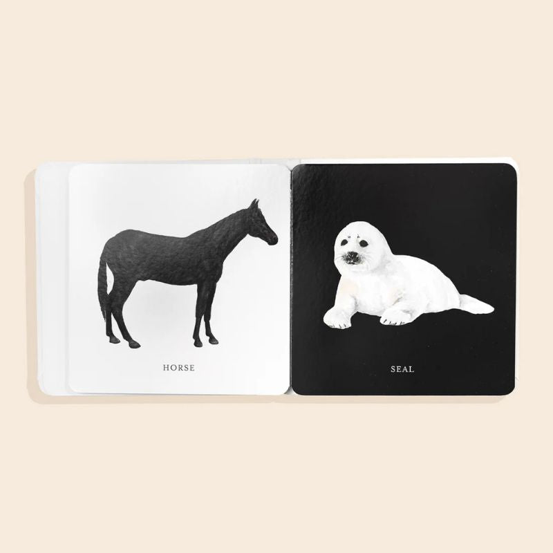 Baby's Black and White Contrast Book