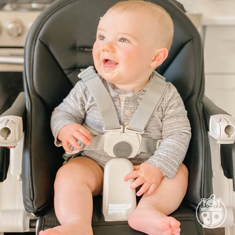 Siesta High Chair