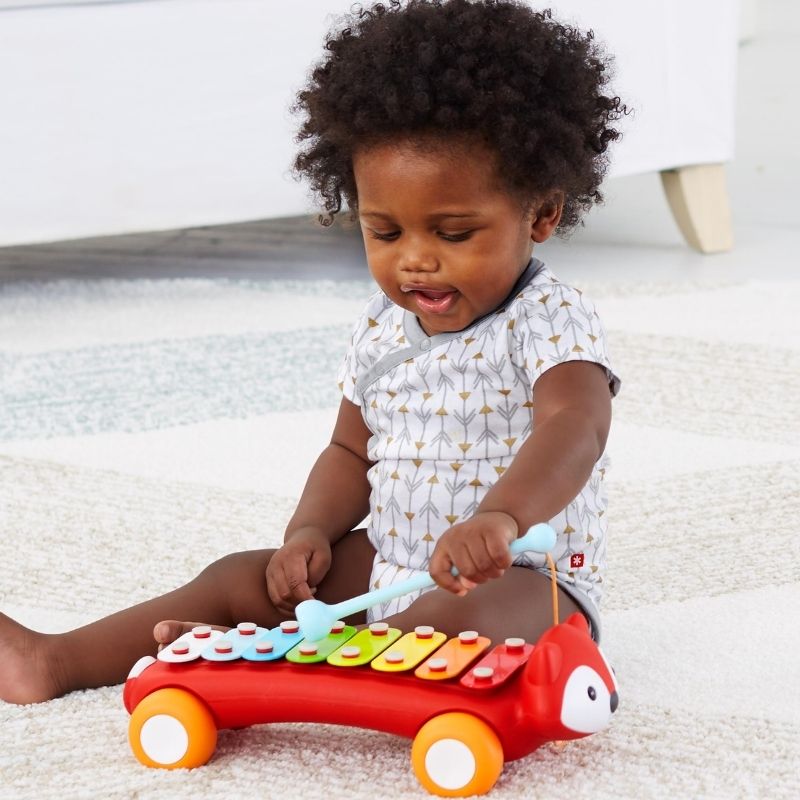 Xylophone - Fox