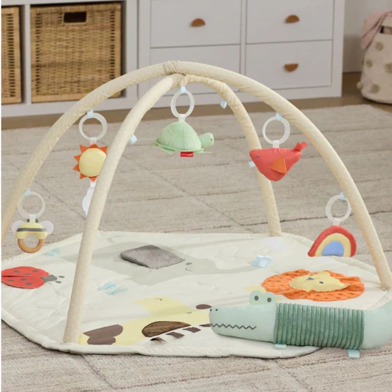Geometric Wonders Activity Gym