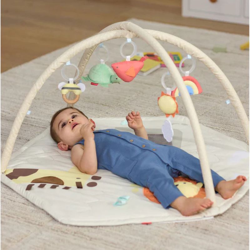 Geometric Wonders Activity Gym