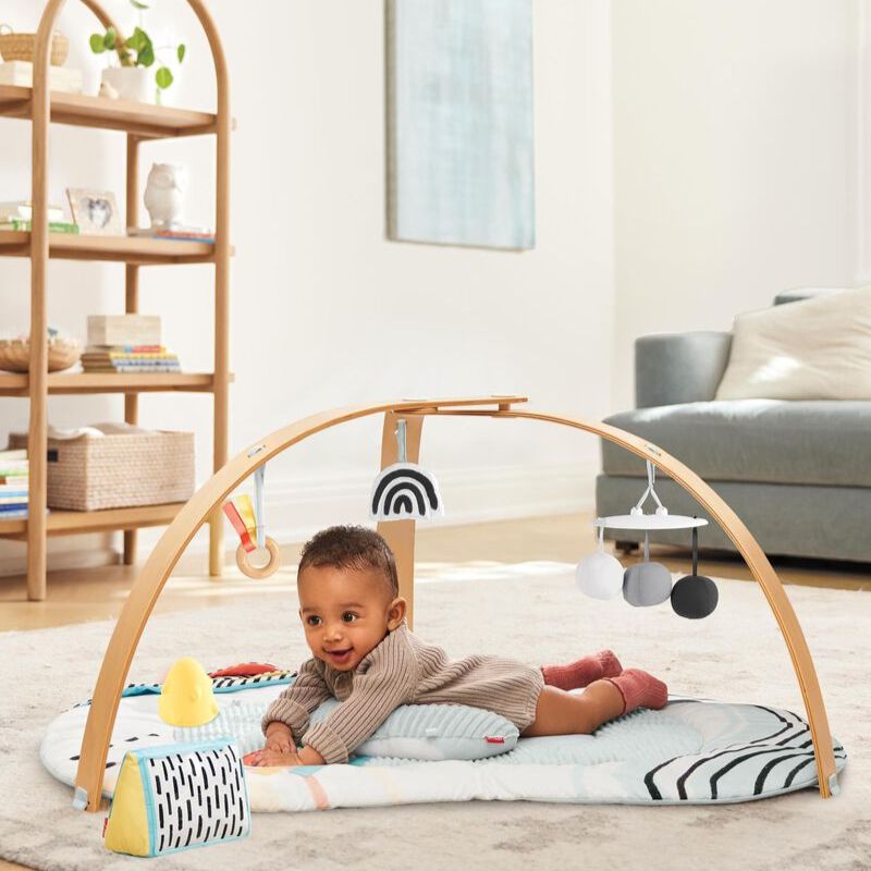 Discoverosity Montessori Activity Gym