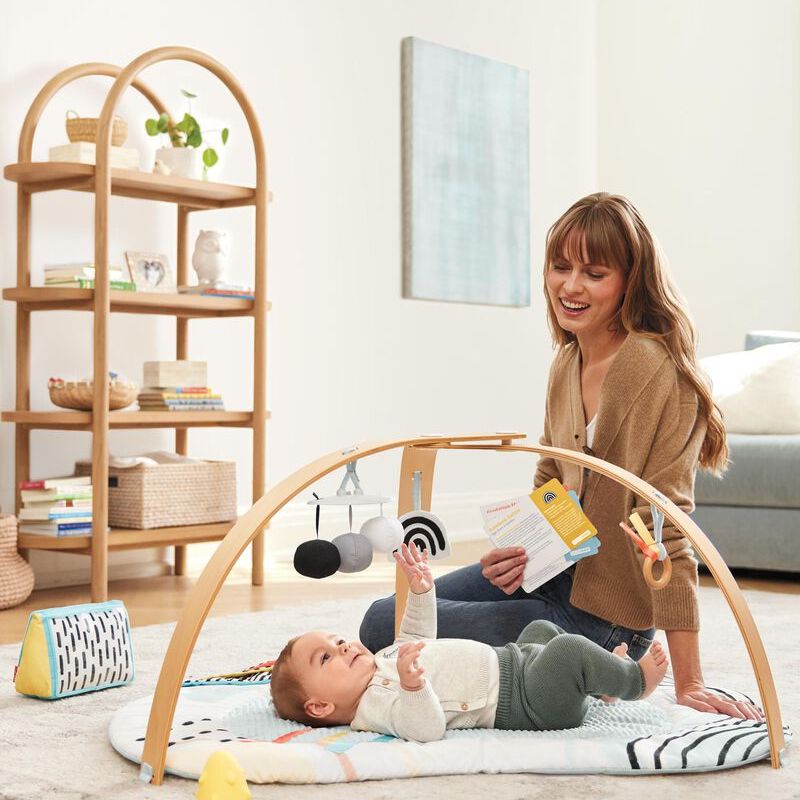 Discoverosity Montessori Activity Gym